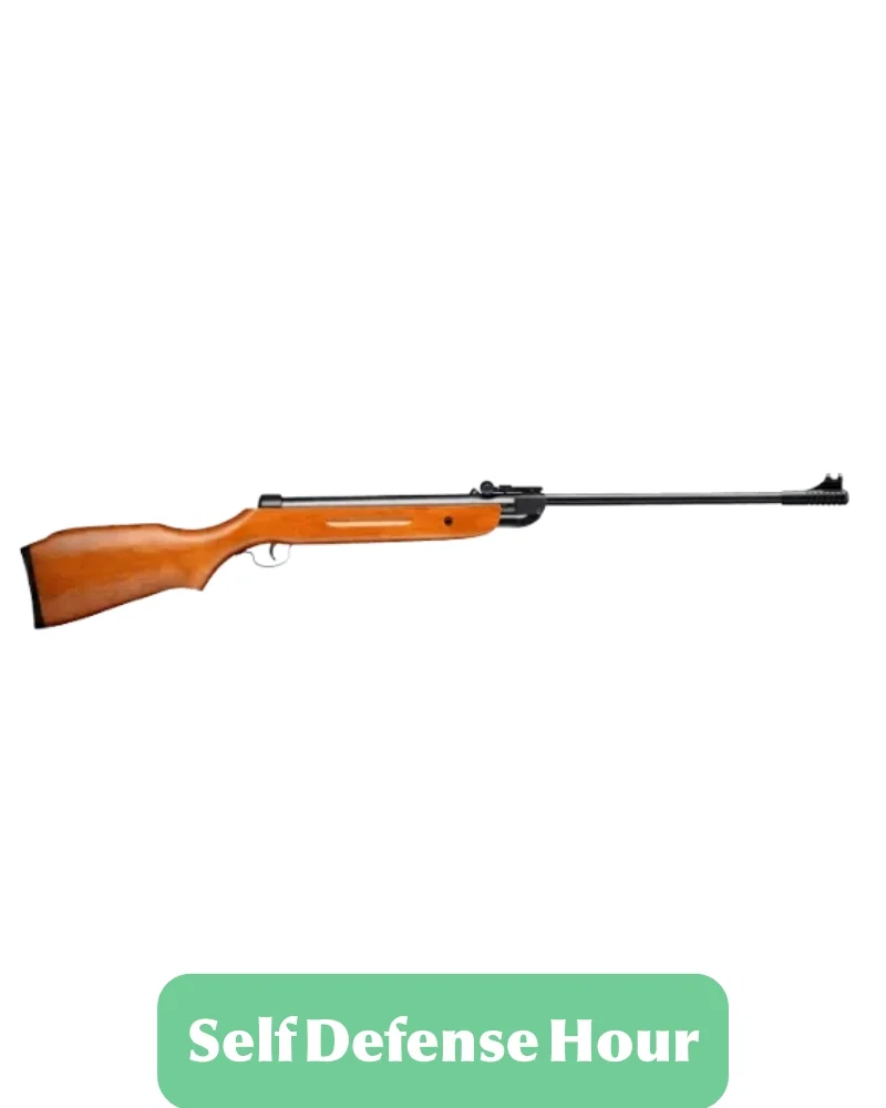 Snowpeak B2-4P 4.5mm Air Rifle